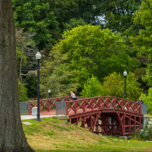 Screenshot 2024-11-30 225651